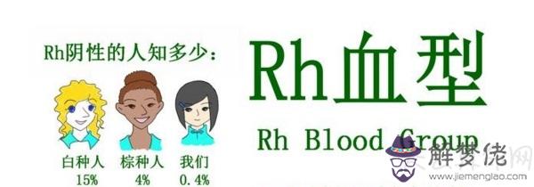 rh血型的人有哪些特征 rh陰性者不能接受rh陽性者血液