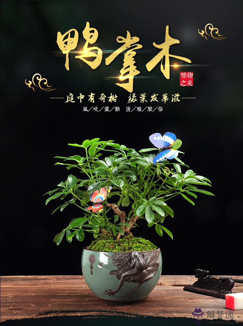 已婚屬虎女今年的婚姻如何：86屬虎的和86屬虎的婚姻怎麼樣