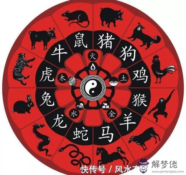 十二生肖鼠的最佳配對：最準的12生肖配對表？