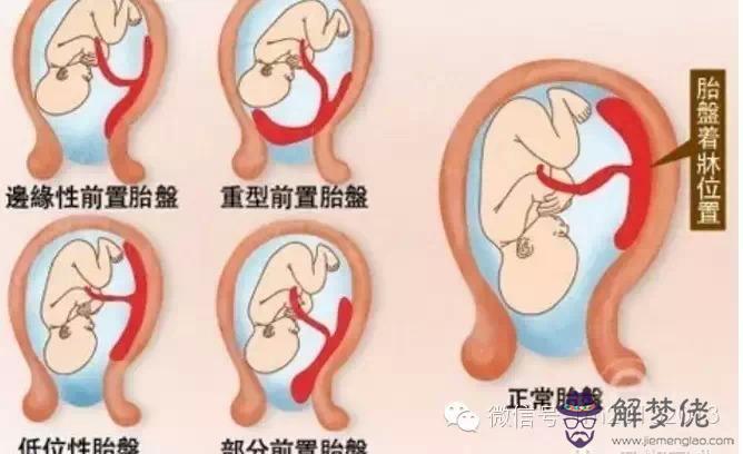 命中有幾個孩子查詢表頭胎女：算算我命里有幾個孩子