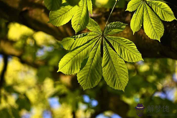 從生日看你的春天運勢：這幾種人紅運當頭多財多金！ 第1张