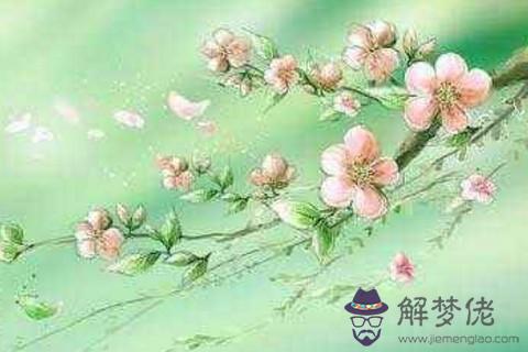 怎麽從名字算桃花運好的特征 第1张