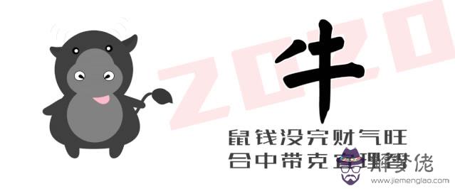 易祈文化：2020年十二生肖全運程大揭秘 第2张