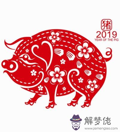 2019豬年下半年生的寶寶好不好 幾月出生的屬豬寶寶最好？ 第2张