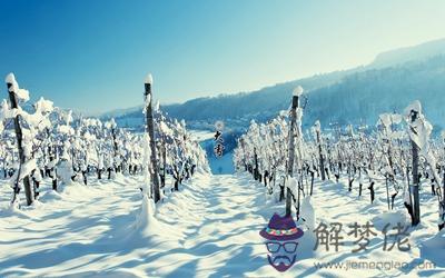 屬豬12月7日大雪節氣當天出生的人命運好嗎？ 第2张