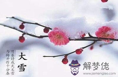 生肖屬羊的人大雪節氣出生好不好 命運如何？ 第1张