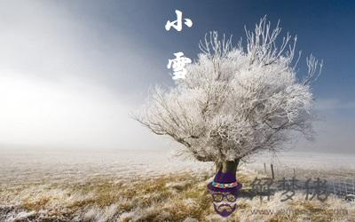 生肖屬龍的人小雪節氣出生好不好 命運如何？ 第3张