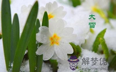 屬猴的人大雪節氣出生命運如何？ 第1张