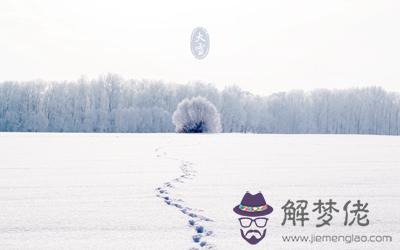 屬鼠的人大雪節氣出生好不好 命運好嗎？ 第2张