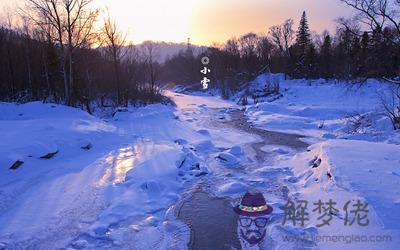 生肖屬豬的人小雪節氣出生命運好不好？ 第1张