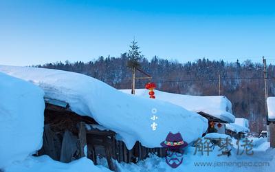 生肖屬馬的人小雪節氣出生命運怎麽樣？ 第1张