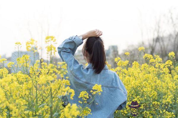 牛六個合生肖是什麽 第1张