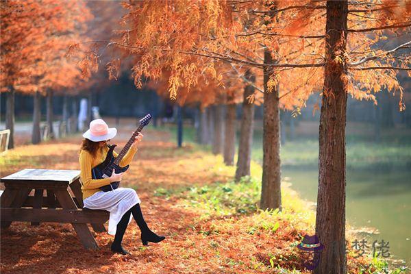 84年屬鼠的生肖婚配表 第1张