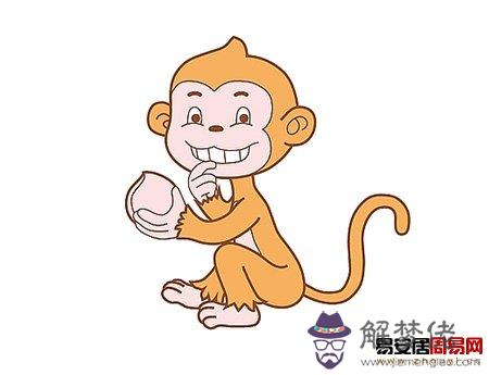 屬猴人的婚姻與命運 第2张