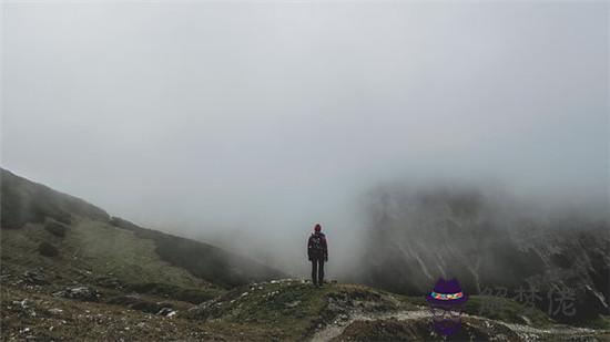 屬虎的男人對老婆好嗎 第1张