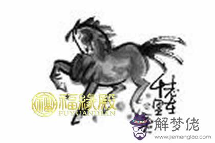 屬馬的男生和屬馬的女生幸福指數 第1张