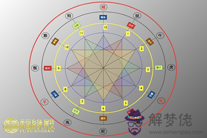 解析：生肖和星座哪個準 第1张