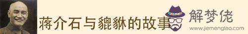 求安心換幸運！屬豬招財必備法寶 第2张