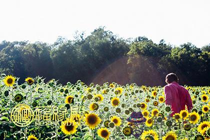 這些生肖男心里住著一個不能忘的女人 第1张