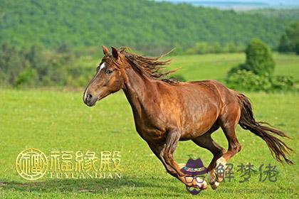 夫妻屬馬住幾層好樓層數字哪些吉利 第1张