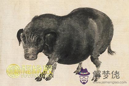 1935年屬什麽生肖1935年屬豬的是什麽命 第1张