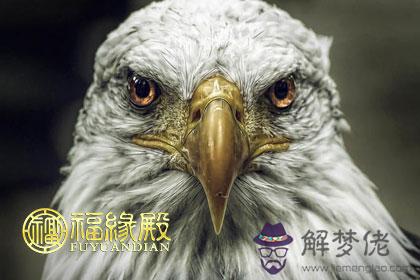 有超強心靈感應 能看穿別人心思的生肖 第1张