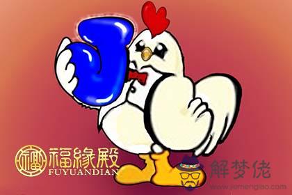 屬雞的2017年每月運氣如何 第2张