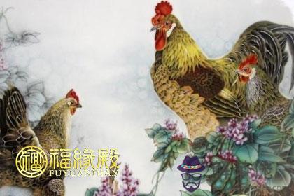 女屬猴男屬雞相配嗎 第1张