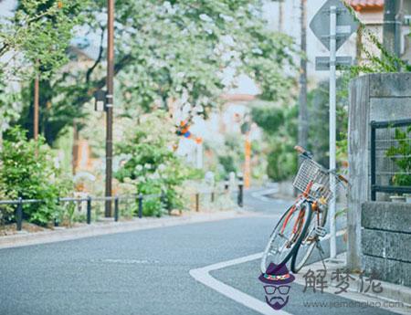 屬狗雙子座AB型血男女性格分析和配對 第1张