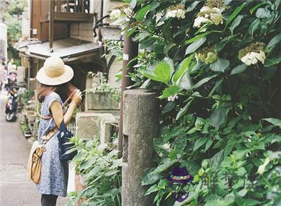 徐墨齋2017年7月生肖狗運勢 第1张