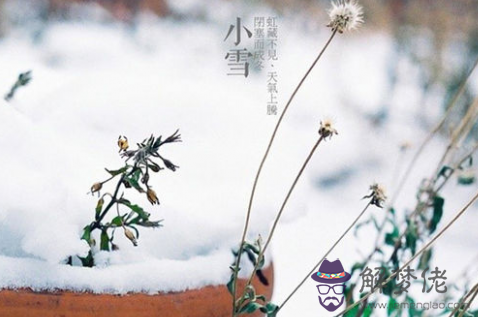 生肖雞小雪養生開運指南 第1张