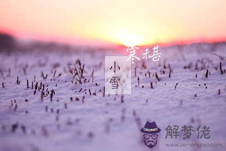 生肖猴小雪養生開運指南 第1张