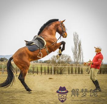 生肖馬逐年、逐月、逐日、逐時福祿詳解 第1张