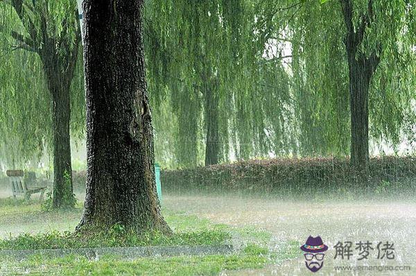 女人夢見傾盆大雨 第1张