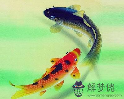 夢見魚代表什麽 第1张