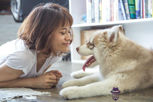 夢見自己家的狗死了 第1张