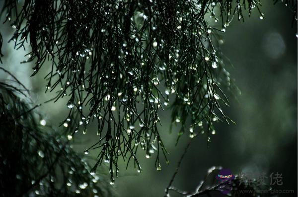 周公解夢夢見下雨 第1张