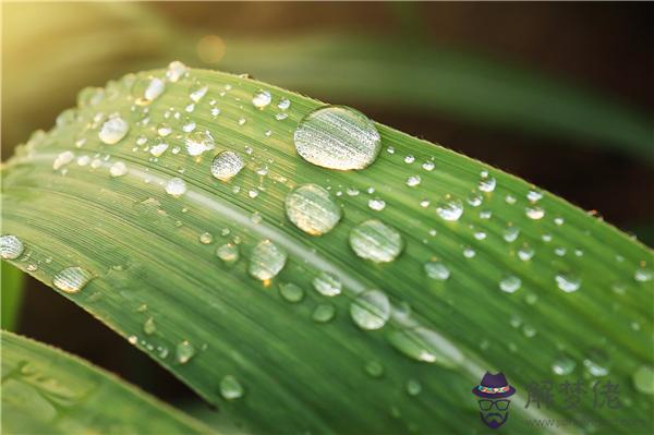 夢到水里有死人 第1张