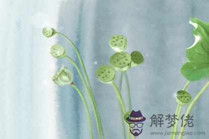 2019年楊柳木命缺什麽怎麽補 第1张