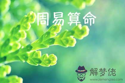 周易老黃歷批八字 周易專家大力推薦的八字工具 第1张