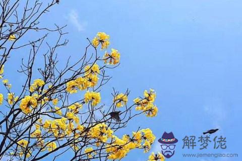 免費生辰八字算桃花運的好壞 第1张