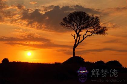 大驛土缺水 大驛土命五行缺水怎麽辦 第1张