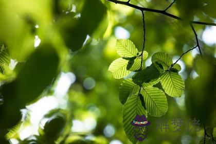 大溪水適合做什麽行業？大溪水適合的行業 第1张