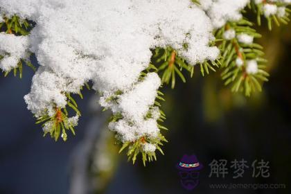 己丑日生于寅月解析 己丑日生于寅月命運好嗎 第1张