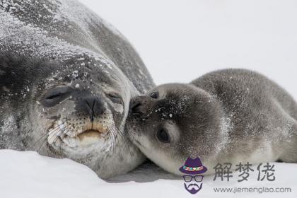 長流水缺木 長流水命五行缺木怎麽辦 第1张