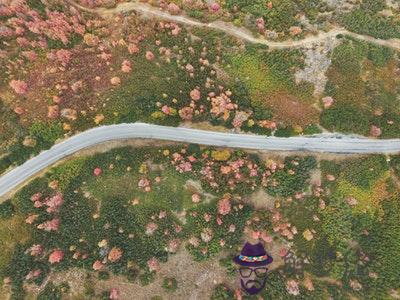 城頭土適合什麽顏色 城頭土幸運顏色 第1张