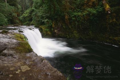 石榴木和平地木配嗎 石榴木和平地木婚姻如何？ 第1张