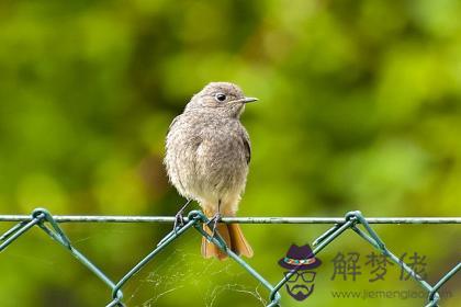 壬子日生于卯月解析 壬子日生于卯月命運好嗎 第1张