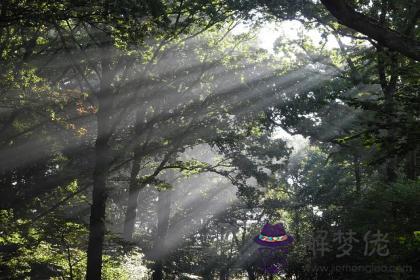 戊子日生于丑月解析 戊子日生于丑月命運好嗎 第1张