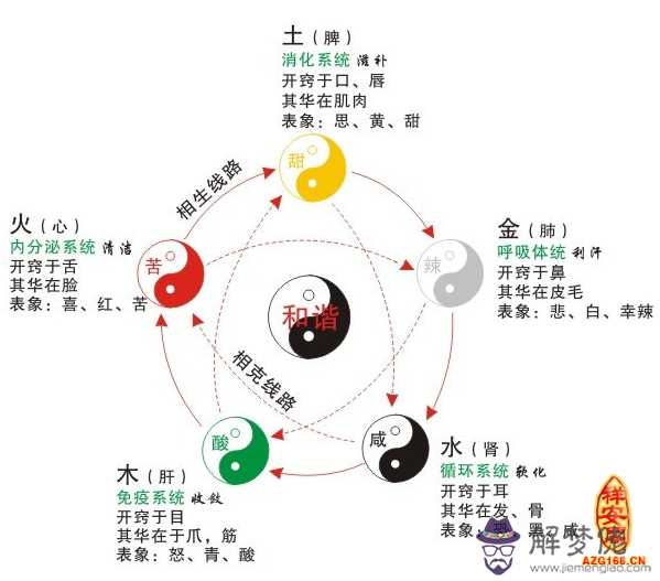 五行屬性的人如何養生 第1张